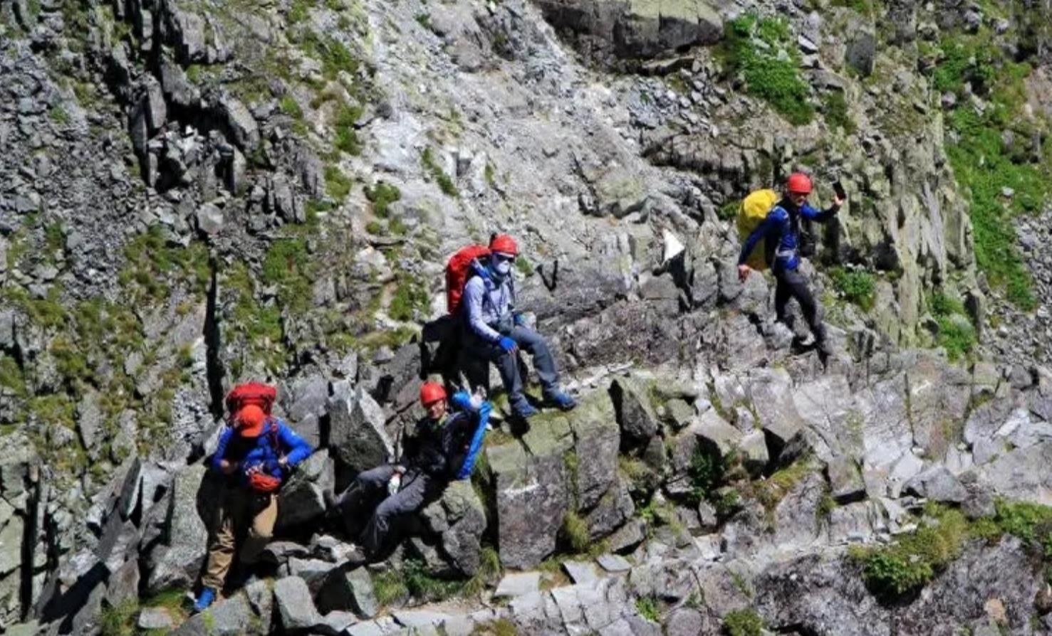 移居十年，捡到600多块河橄榄石，专家建议上交