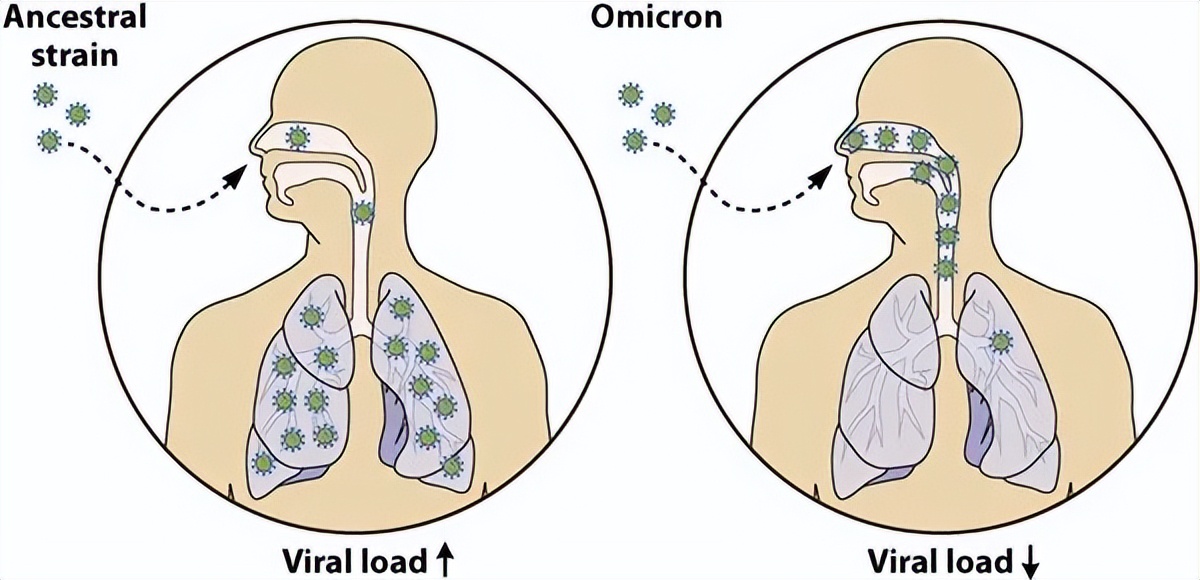 关于新冠疫情的谣言的看法,最新关于新冠疫情的消息