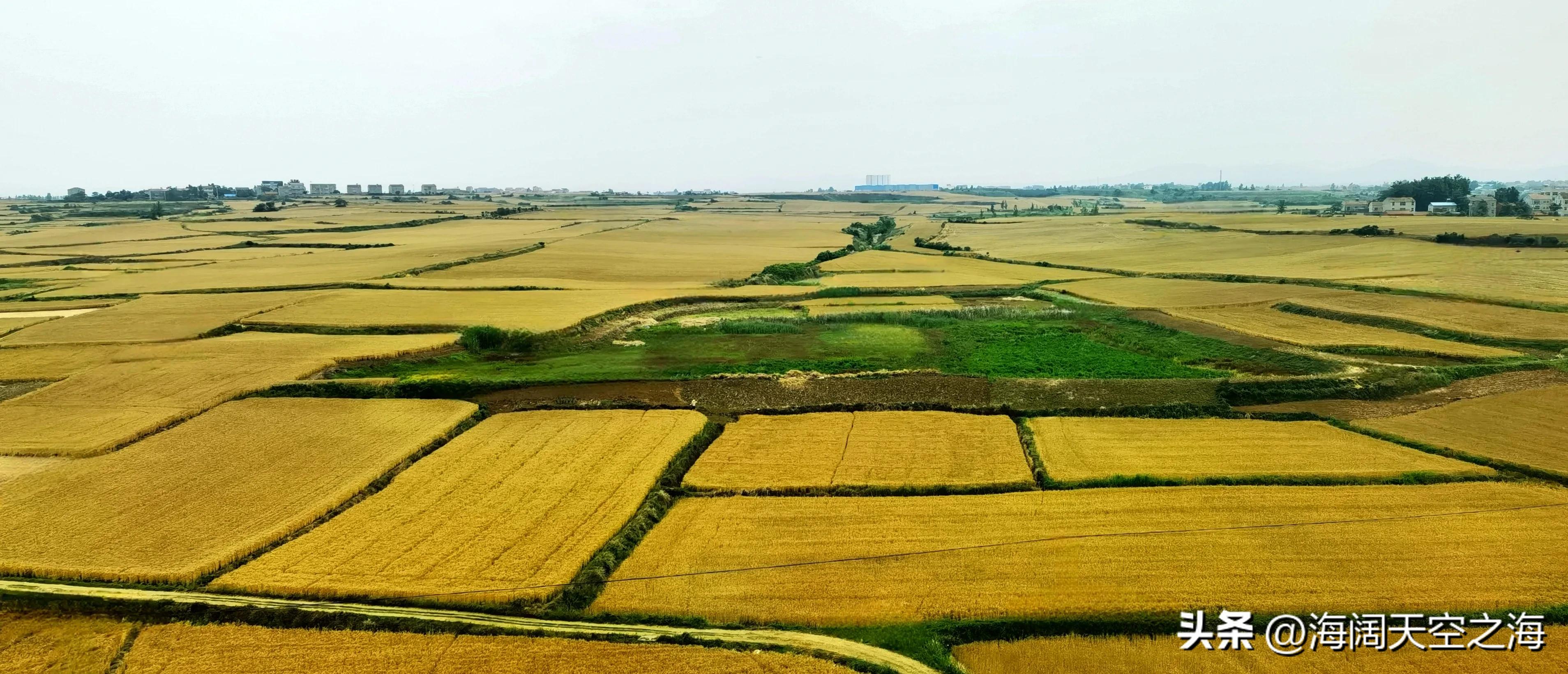 风吹麦浪完整版,风吹麦浪