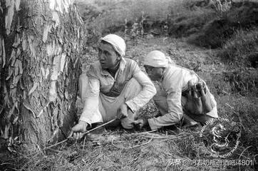 80后的童年的记忆、你还记得多少？下面的内容将帮你想起童年！