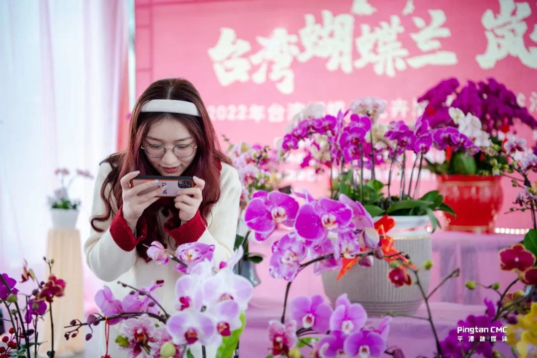 平潭发展两岸融合,平潭综合实验区两岸融合