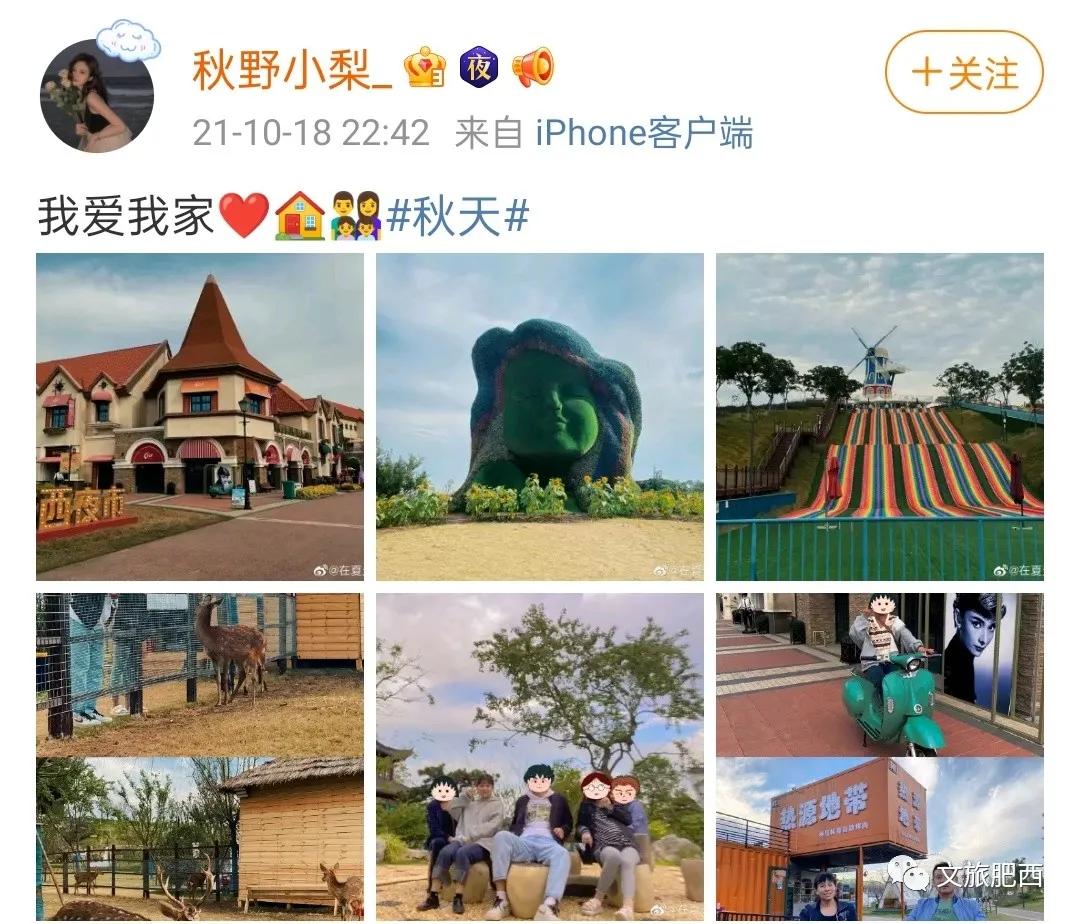 原来，在社交平台中，肥西的真实风景是这样的