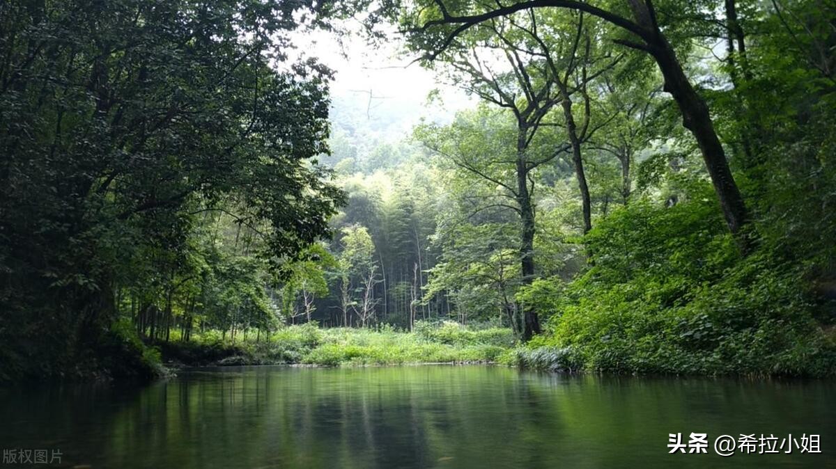 绍兴周边游玩,绍兴周边必去的十大景点免费