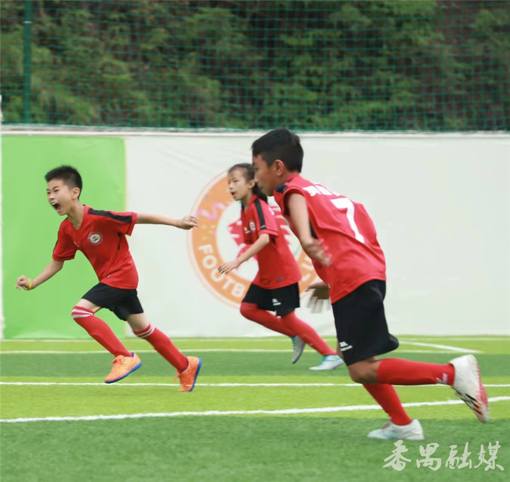 广州市番禺区奥园学校,广州番禺奥园学校