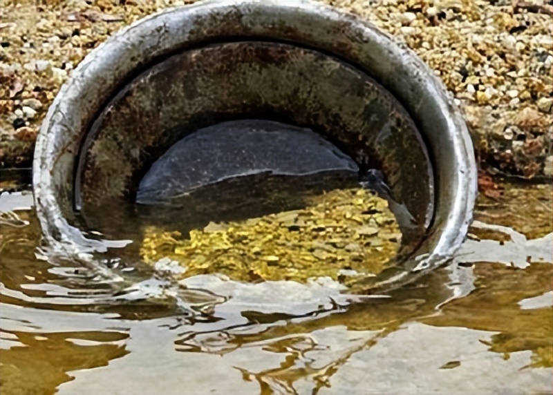 浙江龙泉发现古墓,深山发现古墓宝藏