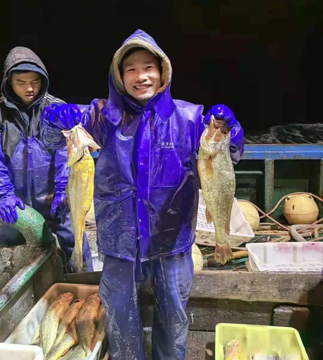 大黄鱼捕捞情况,浙江渔民一网捕4000斤大黄鱼