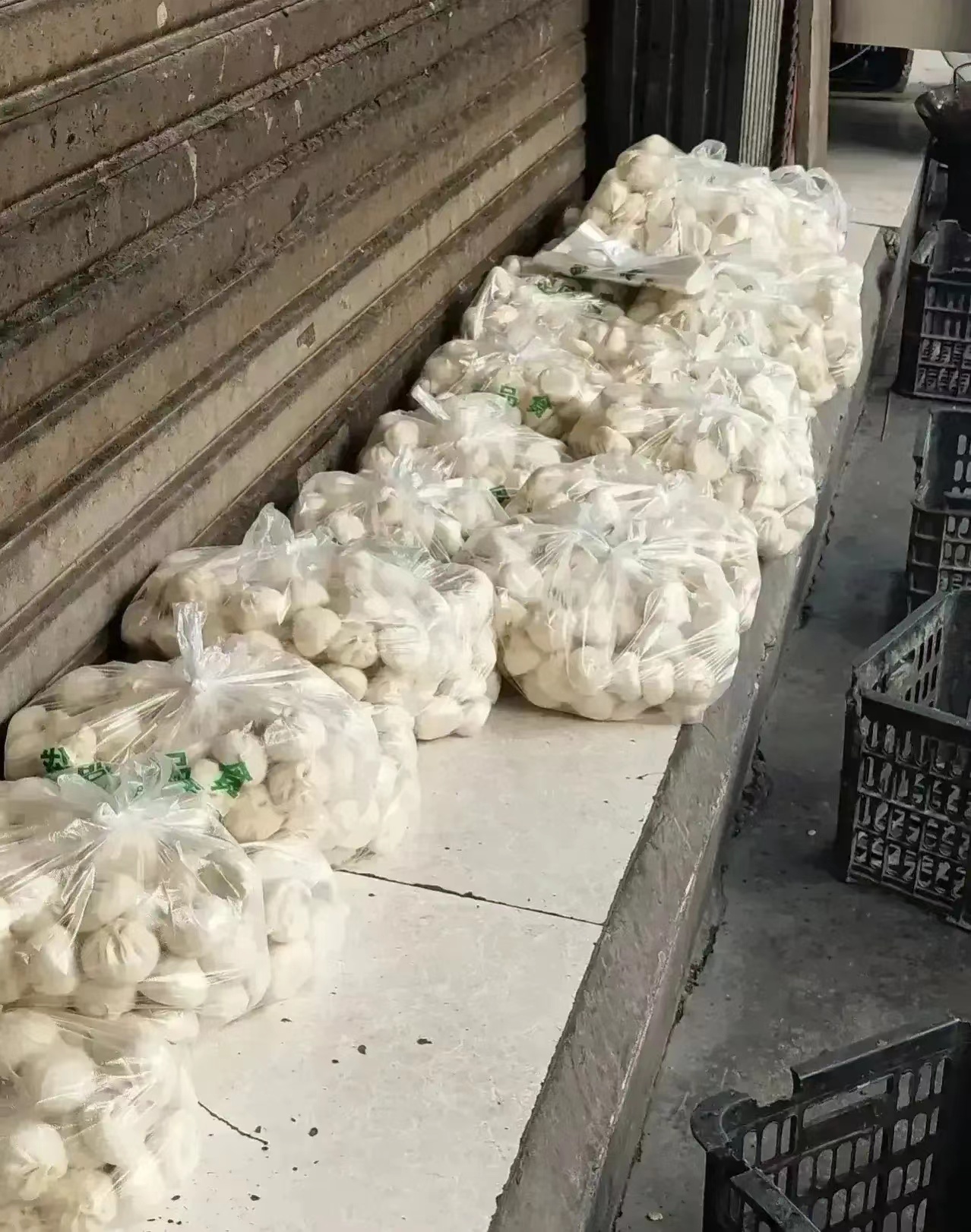 我，50岁老太太，21年投了2万，在深圳开包子店，2年时间赚了63万