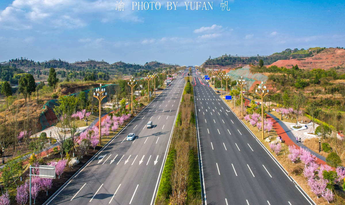 潼南油菜花旅游攻略,美好春日潼南赏花地图快来get