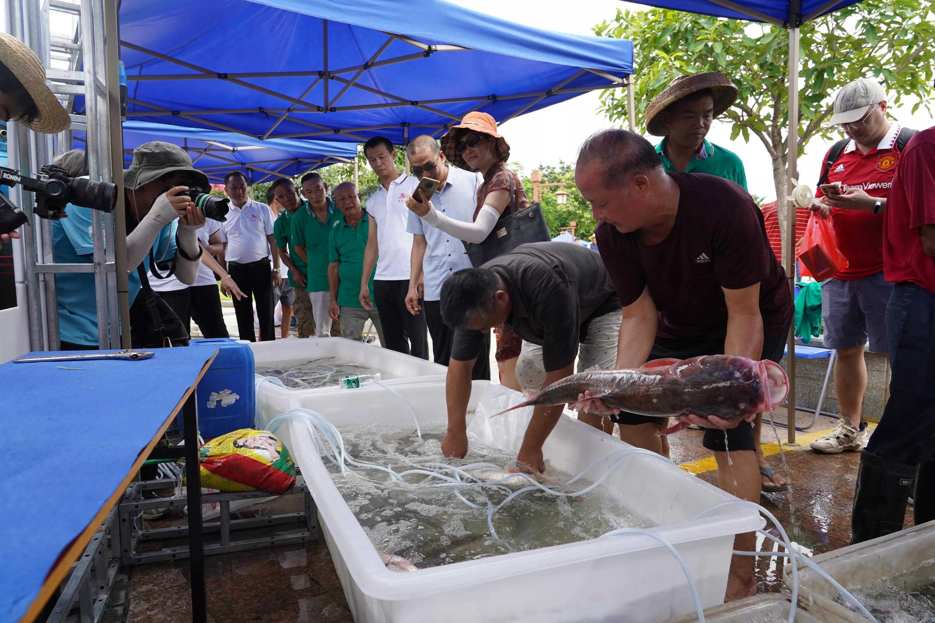 江上渔者与悯农其一的哪一句相似,江上渔者和悯农对应的诗句