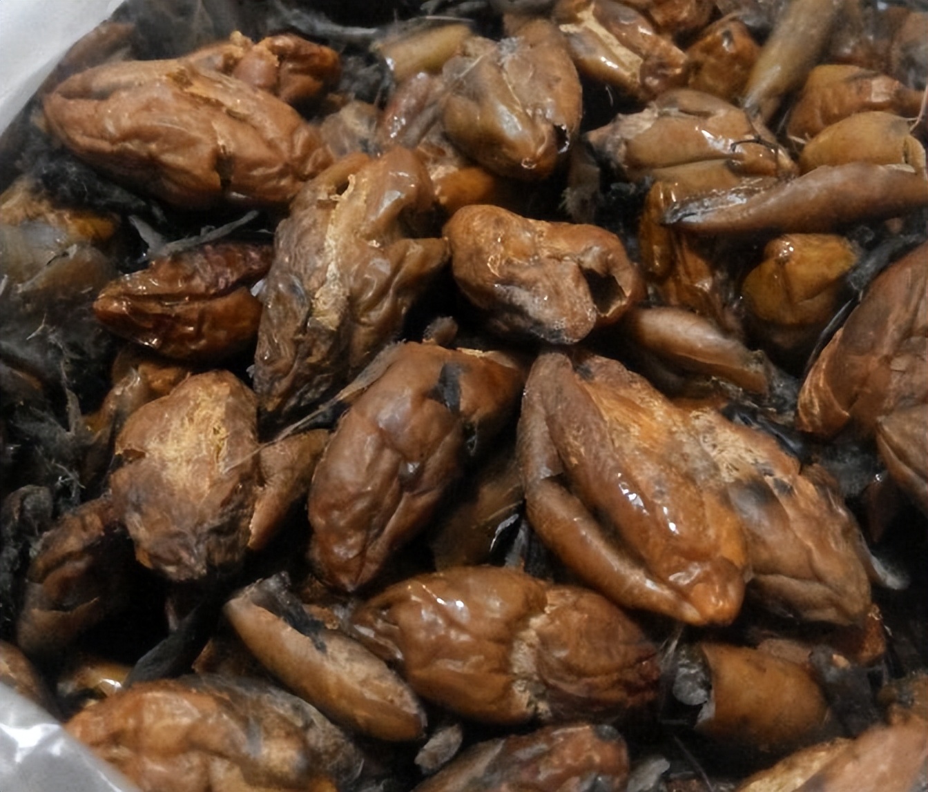 315暴击：橄榄菜爱好者一直在吃腐烂的菜叶子