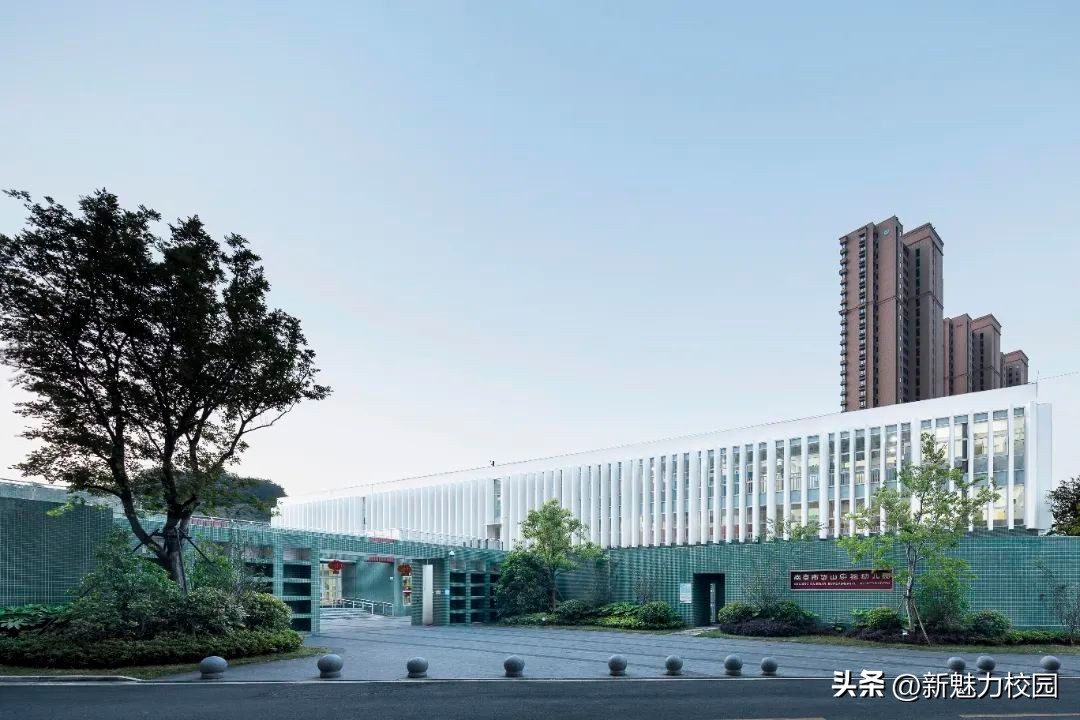 耕耘·我们的教育答卷——雨花台区学校特色与品牌系列报道8