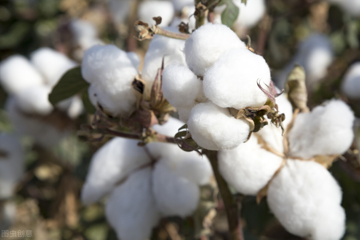 关于阿迪达斯中国市场情况,阿迪达斯耐克销量大幅下滑