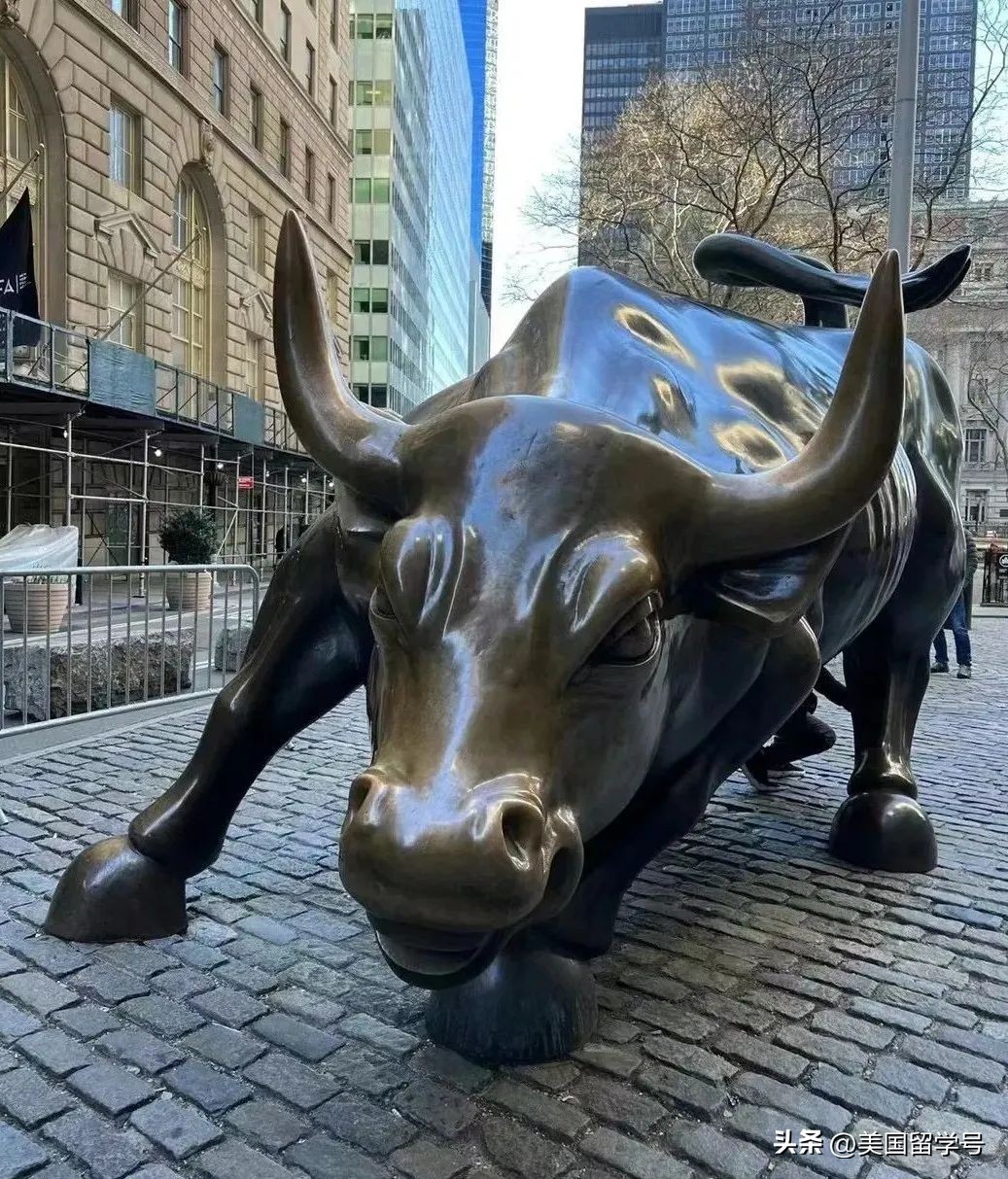 tddi技术介绍,td技术是什么