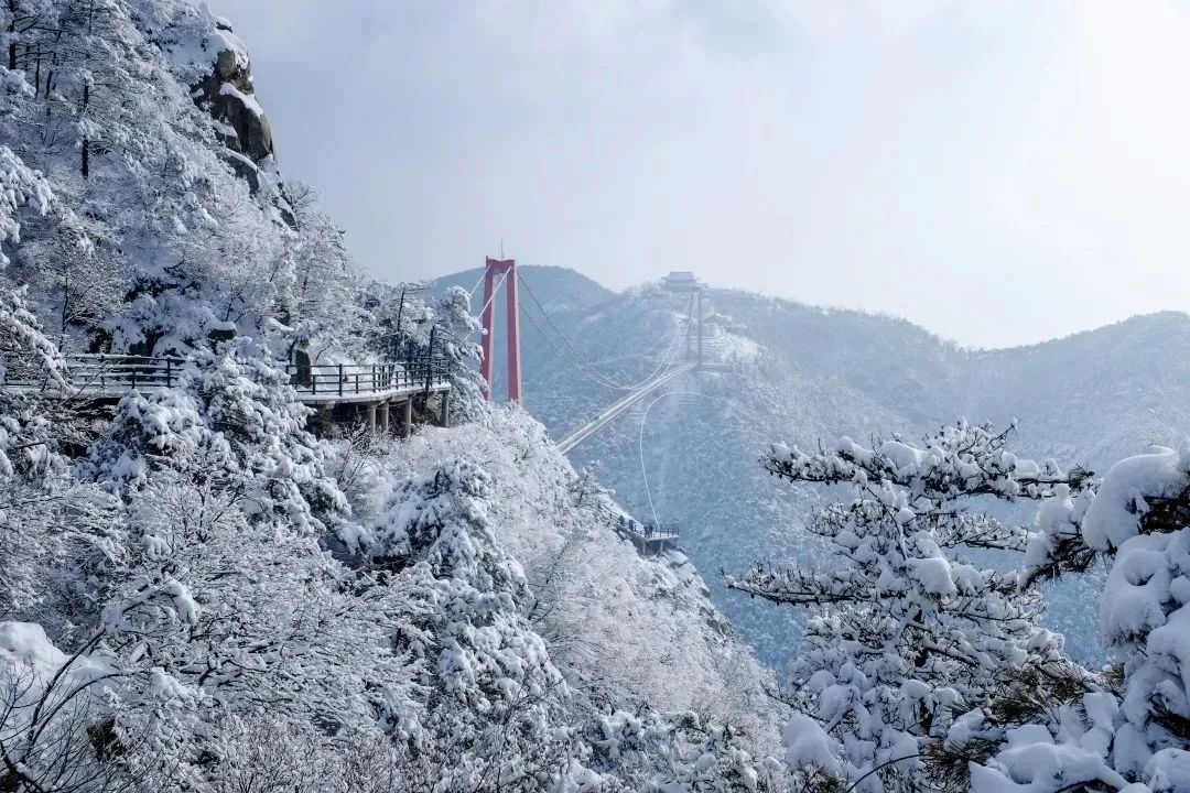 雪落成白墨影成殇,零落成妆