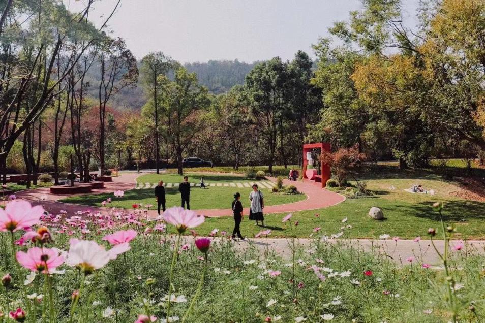 口袋公园生态美景,口袋公园小景观