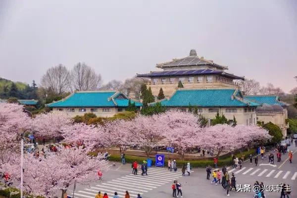 为这所大学点赞！那年那地那校，疫中的那批毕业生成为最幸福的人