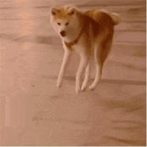 五一假期做什么小生意,五一假期做点什么小生意好