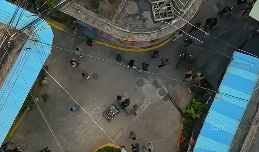 高启强,在“京海”卖鱼真的可以发家!