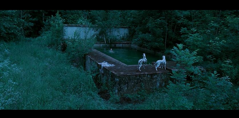 抱歉，该上热搜的是她，不是男足