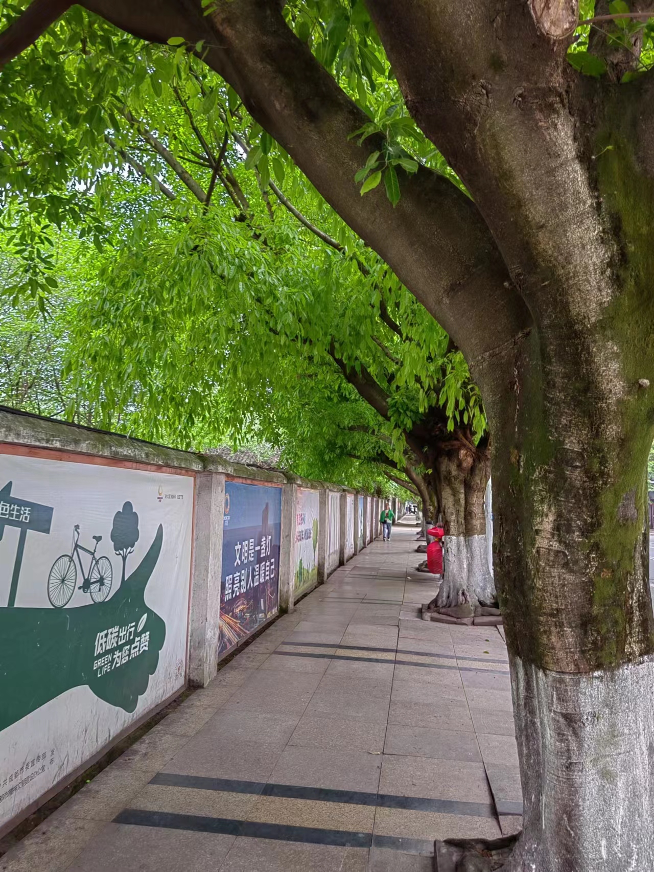 银行卡怕被人利用怎么办,一类银行卡可不可以借给他人用