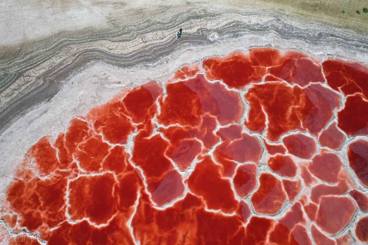 阿拉善旅游攻略必玩的景点地图,内蒙古阿拉善游玩攻略