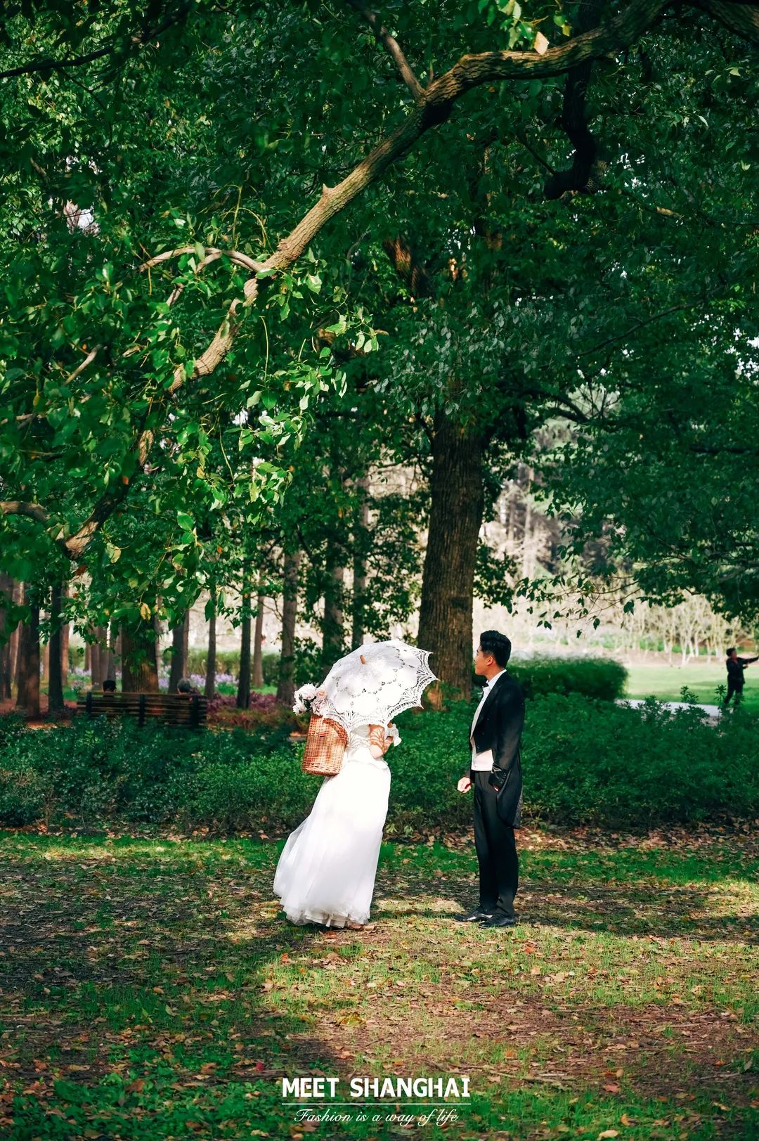 实用全上海532家公园攻略速速收藏,上海攻略必去的公园