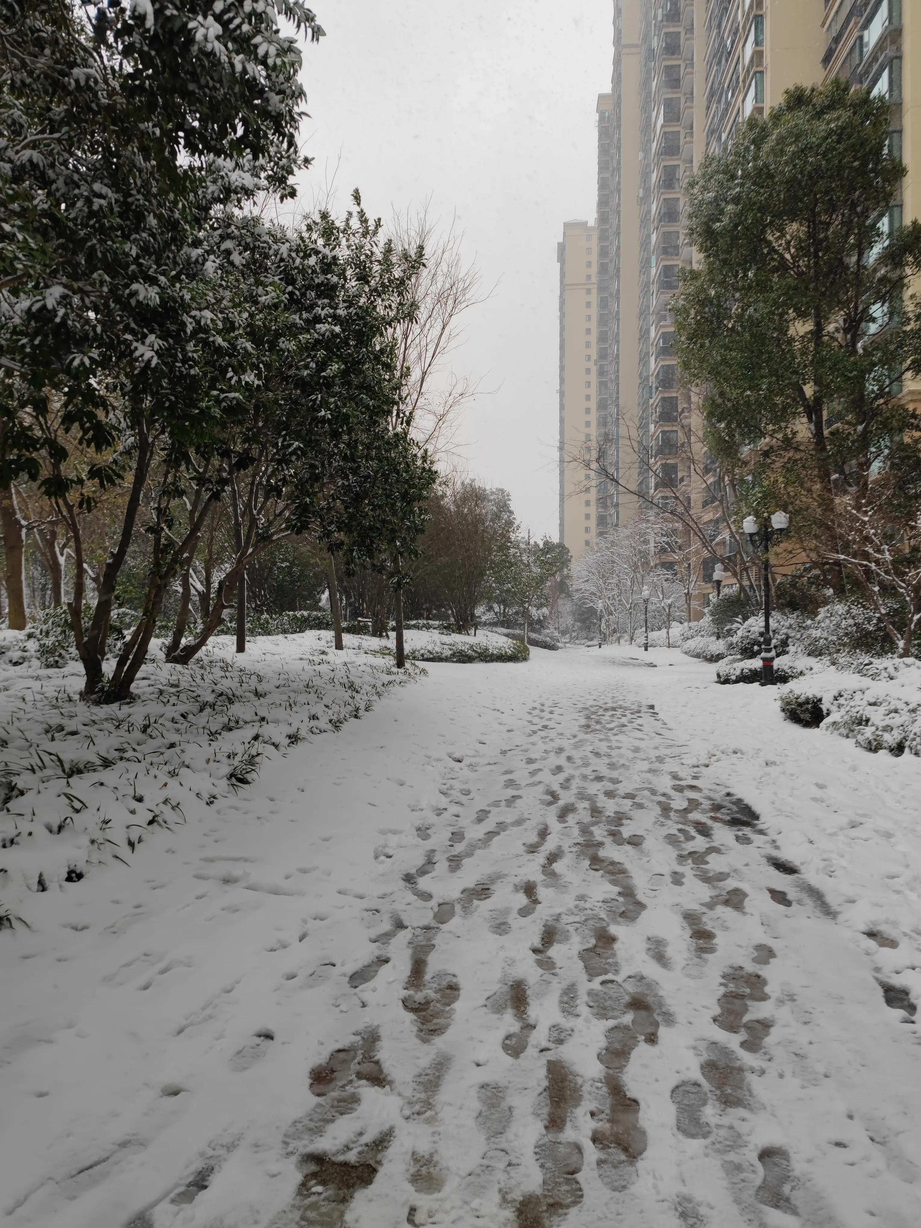 大美星沙,大美星沙松雅湖