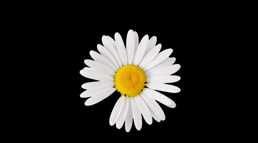 10个月宝宝排便困难哭,宝宝拉屎哭拉不出来怎么办