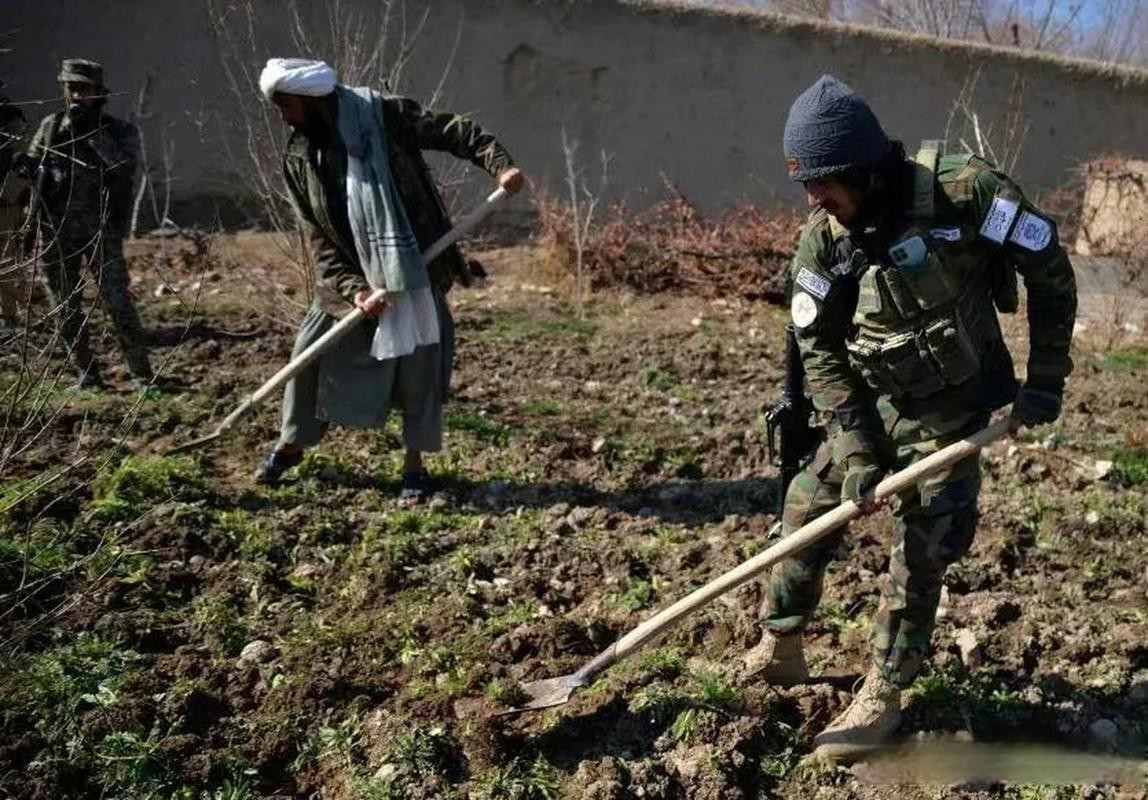 阿富汗塔利班开采石油,阿富汗增产石油