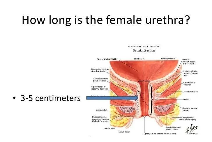 想去游泳馆游泳又怕水脏,想去游泳但是都说泳池很脏怎么办