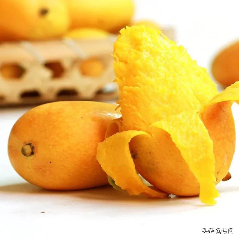 海南的水果特产有哪些？你知道几种？