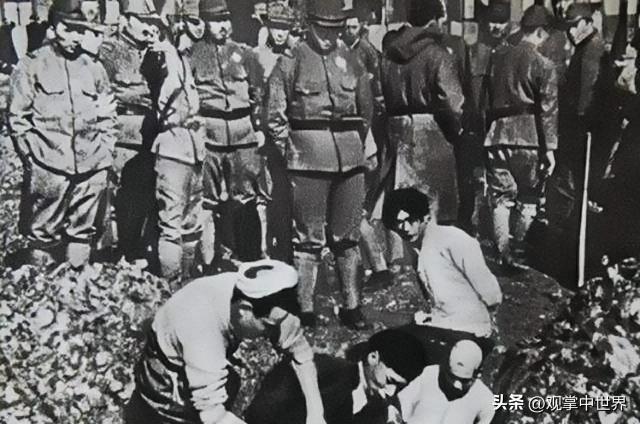 30张真实又罕见的老照片，阴毛假发工作者，我怀疑他用错地方了