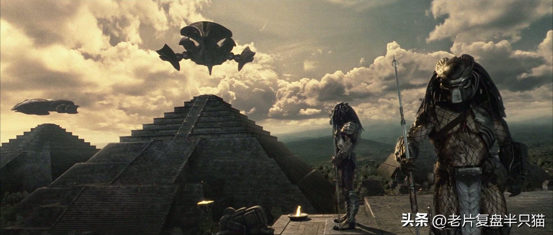 铁血战士铁血异形有多强,铁血战士铁血异形顺序