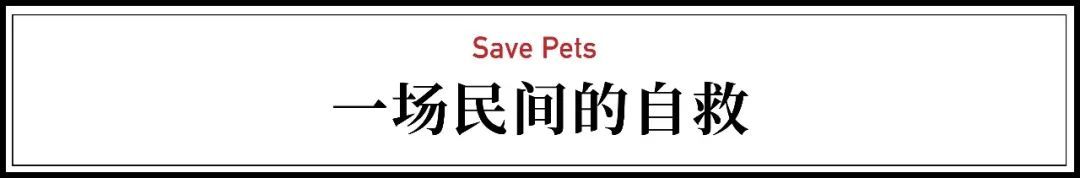 全国首个宠物方舱媒体评论,全国首个宠物方舱建成