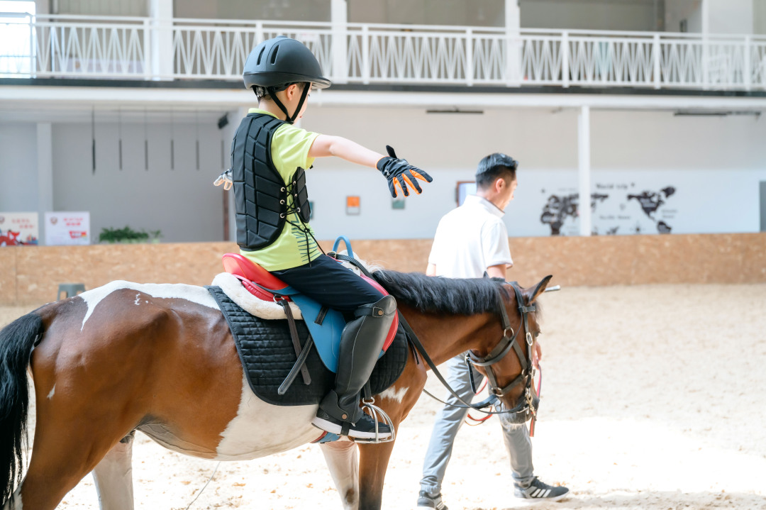 马儿和人互动安全视频,马儿玩耍注意事项