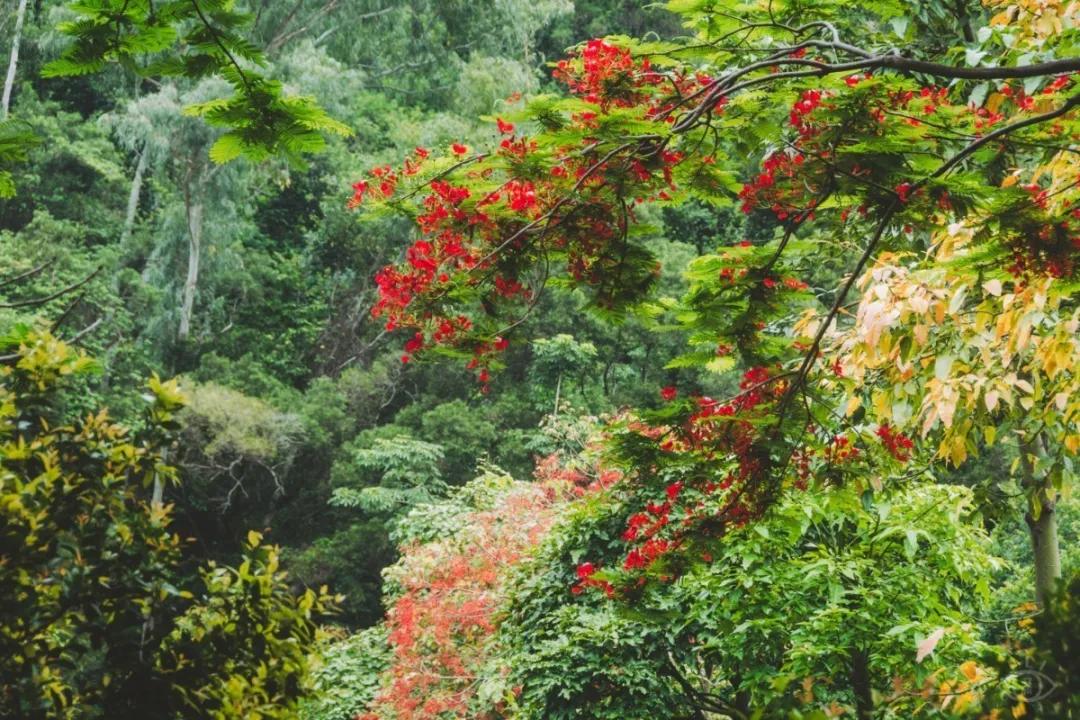 深圳最值得爬的景点,深圳十大最值得爬的山