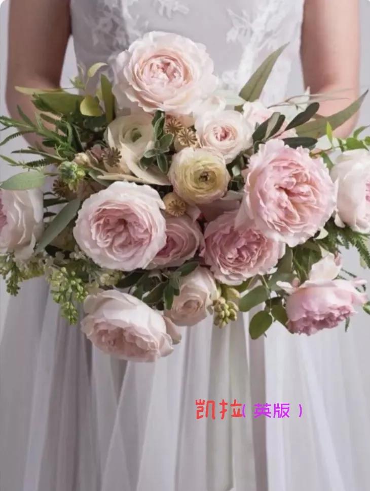 常见切花月季一览（40）（接上期）