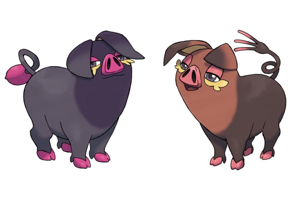 目标是一般系宝可梦大师！家门宠介绍之家门鼠篇