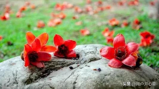 涂磊曾经说离婚原因,涂磊说有多少人说三观不合就分手