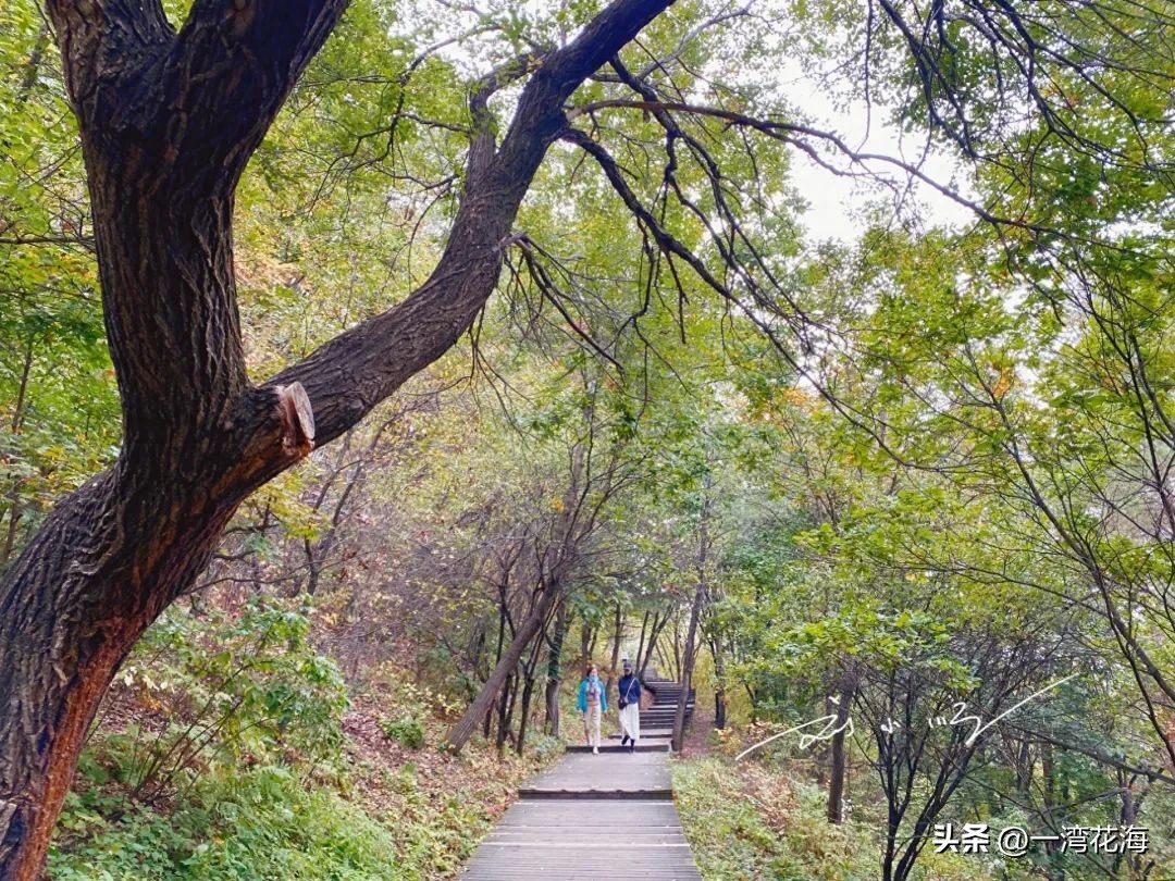 吉林延边州延吉市青年湖公园,延吉内旅游景区排名