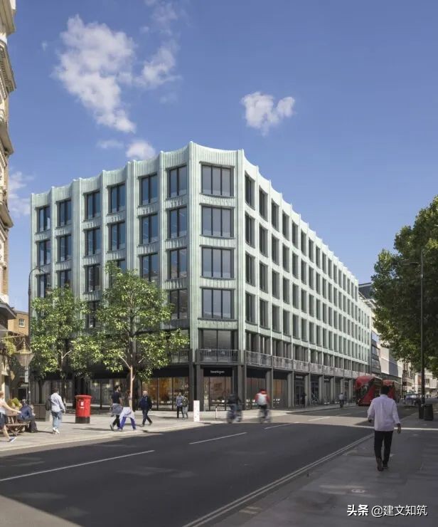 waf2023世锦赛,waf国内排名