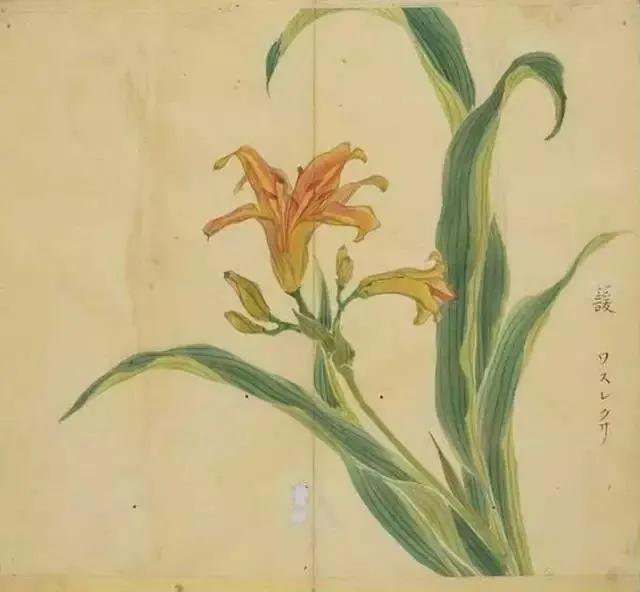 诗经陈风月出原文赏析,诗经陈风月出正确读音