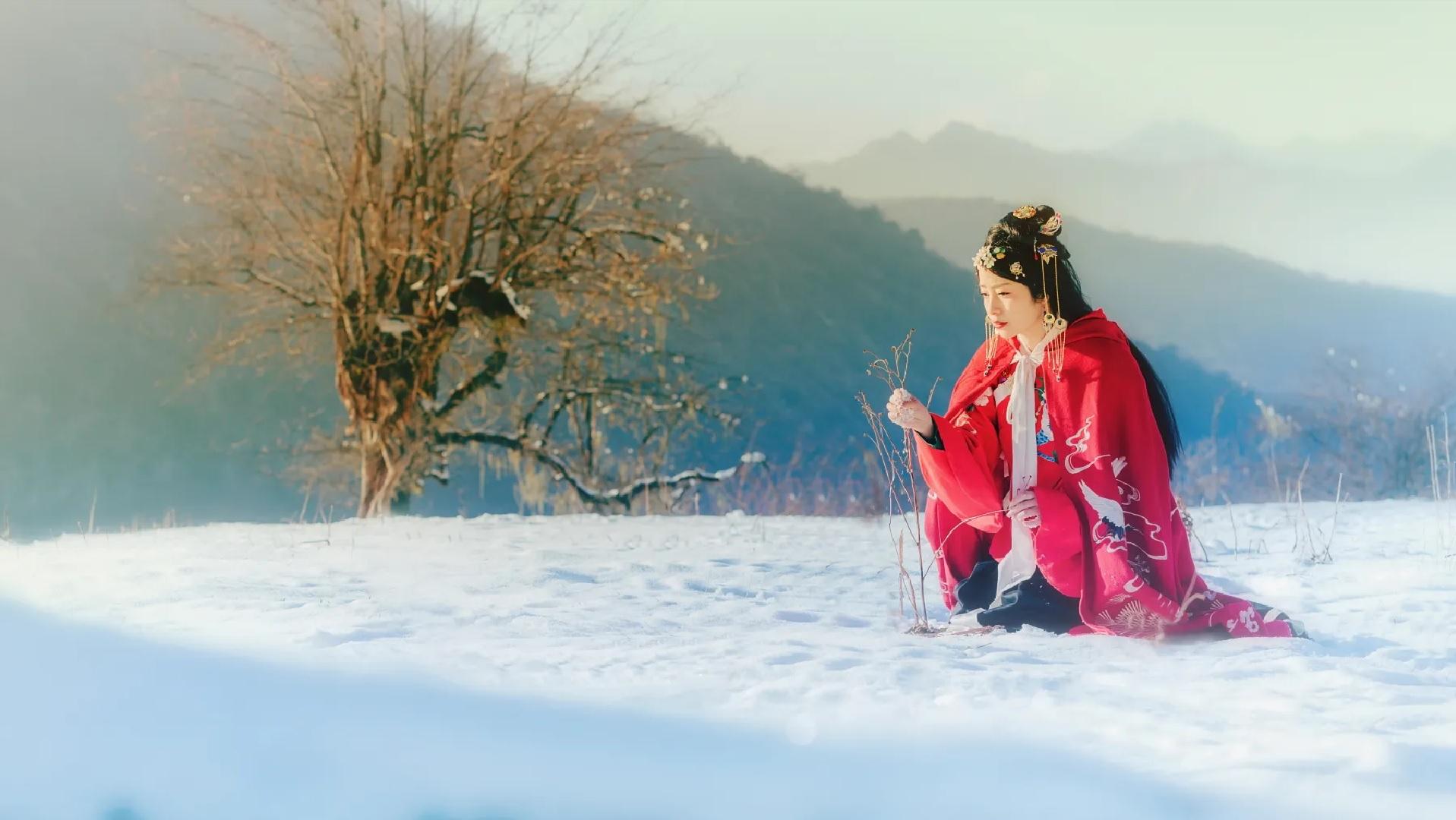 古人讲为什么自古红颜多薄命,为什么自古红颜多薄命逻辑思维