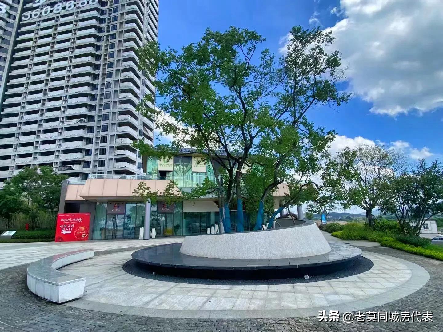 保利房子首付98万,保利资金链问题