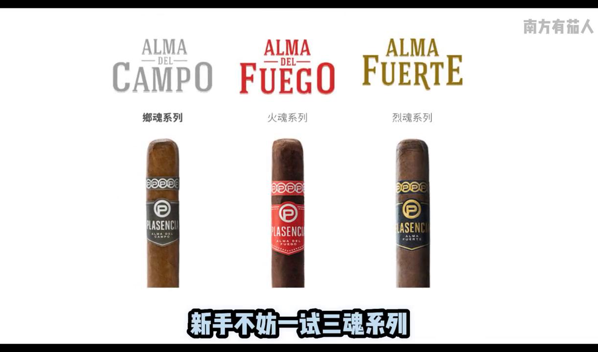 1分钟了解雪茄视频,非古雪茄入门级