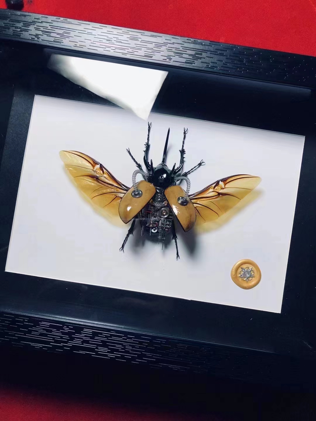 蒸汽朋克蝴蝶标本制作,甲虫标本蒸汽朋克制作
