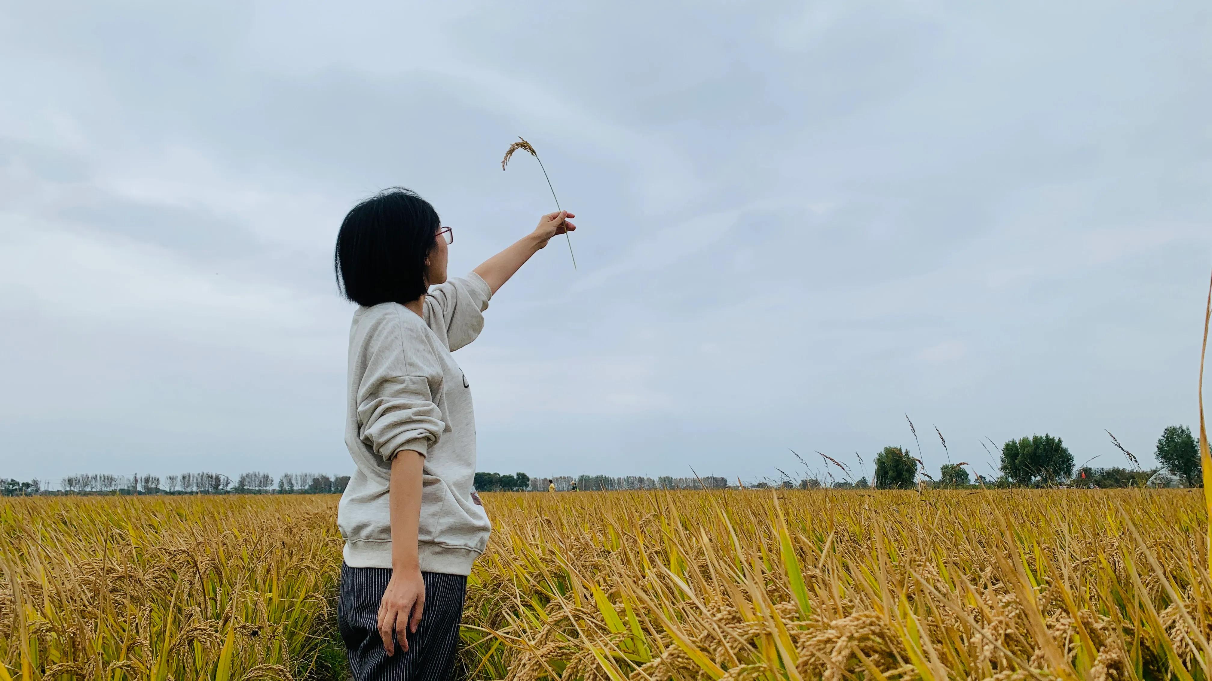 沈阳旅游景点稻梦空间,沈阳稻梦空间一日游攻略