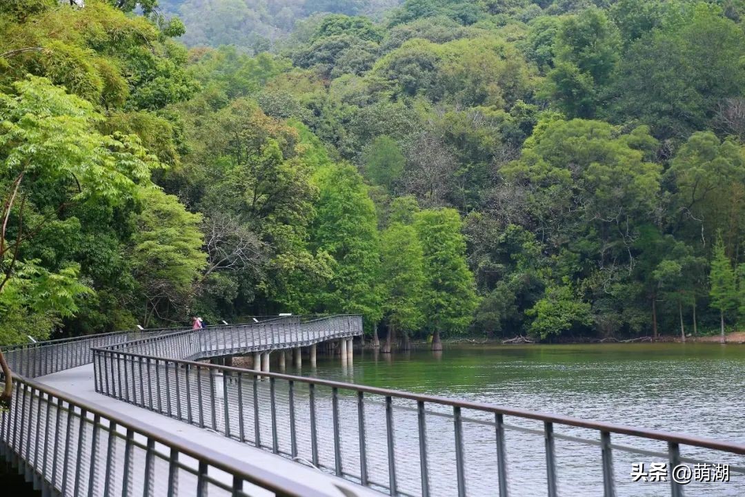 五一广州旅游攻略推荐,五一广州游玩攻略一览表