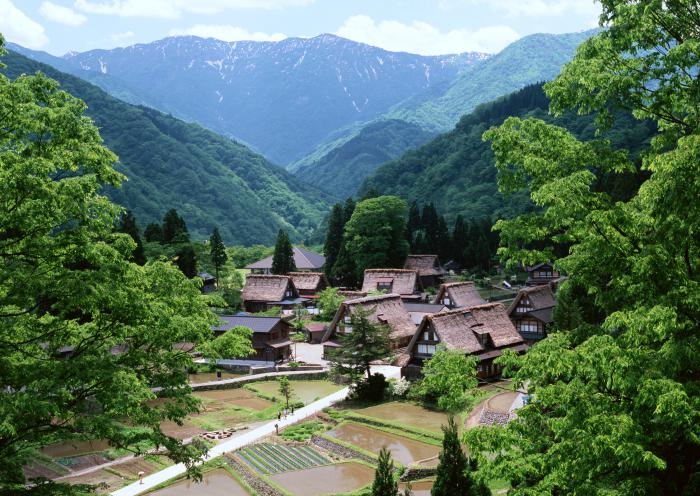 精短小说刊号,精短小说假刊