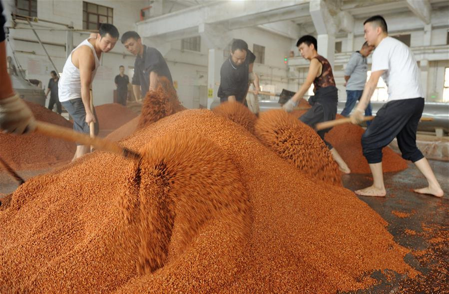 传统酿酒一斤成本是多少,纯粮酿酒最贵多少钱一斤